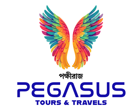 Pegasus Tours & Travels Logo